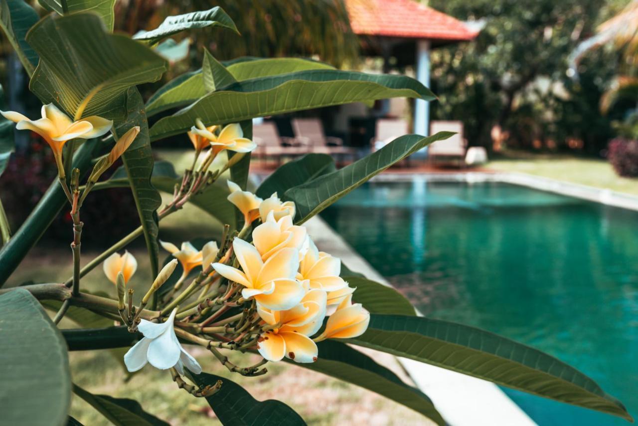 Bali Mynah Villas Resort Jimbaran Zewnętrze zdjęcie