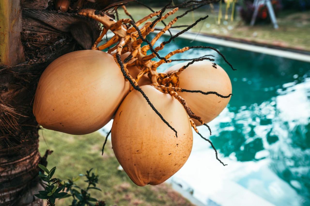 Bali Mynah Villas Resort Jimbaran Zewnętrze zdjęcie
